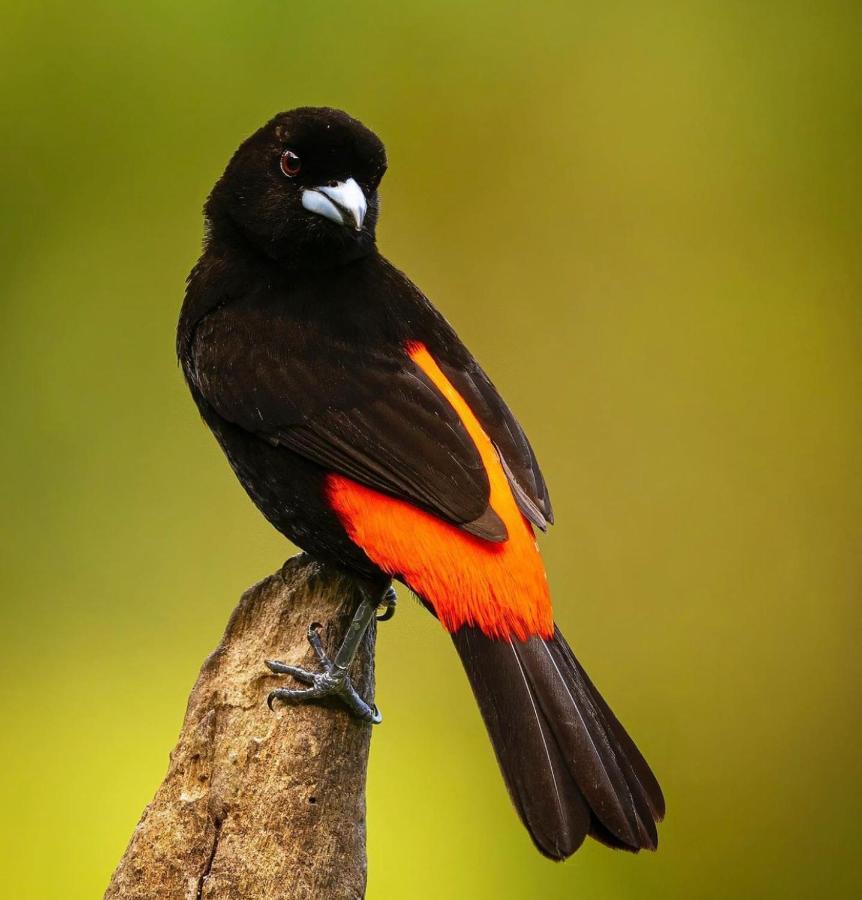 Casita El Sonido De Las Aves 乌维塔 外观 照片